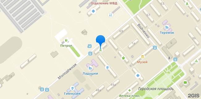 Расположение дома: Гай, ул. Молодёжная, д. 71